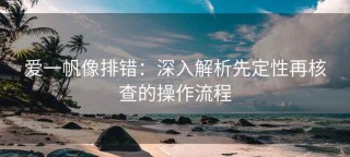 爱一帆像排错：深入解析先定性再核查的操作流程