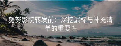 努努影院转发前：深挖漏标与补充清单的重要性