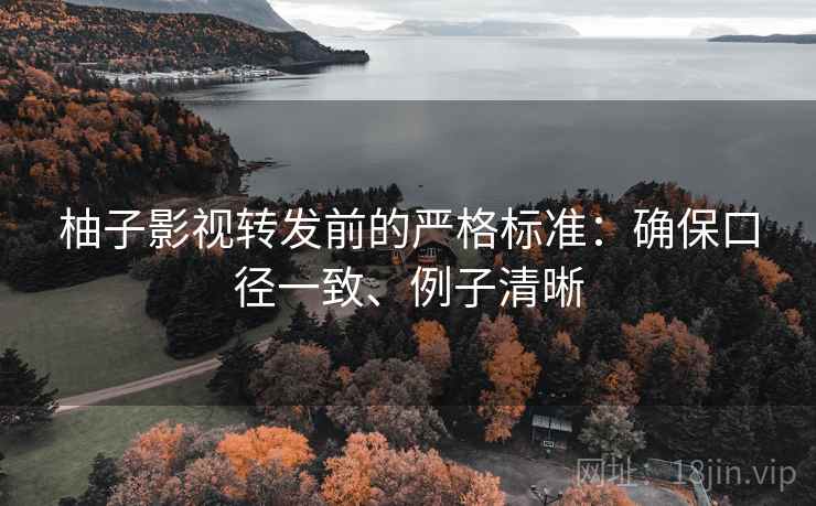 柚子影视转发前的严格标准:确保口径一致、例子清晰 柚子影视转发前的严格标准:确保口径一致、例子清晰